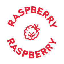 Raspberry Brownies GF/DF